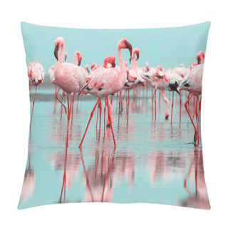 Personality  Wild African Birds. Group Birds Of Pink African Flamingos  Walking Around The Blue Lagoon On A Sunny Day Pillow Covers