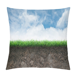 Personality  Soil And Grass In Blue Sky Pillow Covers