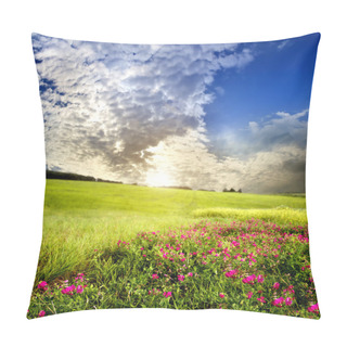 Personality  Green Meadow . Spring Pillow Covers