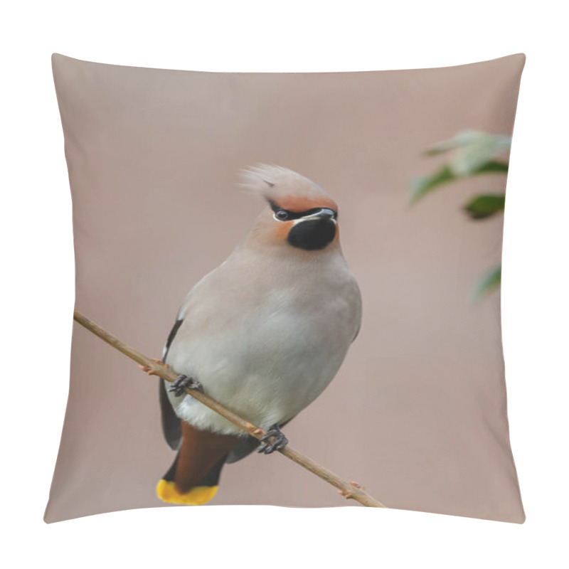 Personality  Bohemian Waxwing Perched On A Twig  Pillow Covers