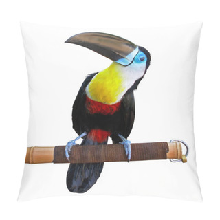 Personality  Beautiful Toucan Pillow Covers