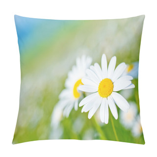 Personality  Camomille Field Pillow Covers
