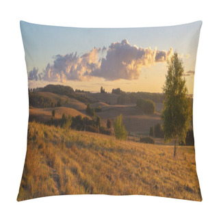 Personality  Scenic View Of Fields And Meadows At Sunny Morning Pillow Covers