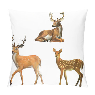 Personality  Beautiful Deer With Big Horns. Baby Deer. Isolated On White Pillow Covers