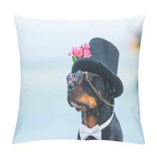 Personality  Black Dog Of Breed A Rottweiler. Dog In A Black Hat And Glasses On The Background Of The Sea. Hat Decorated With Pink Flowers. Pet. Pillow Covers