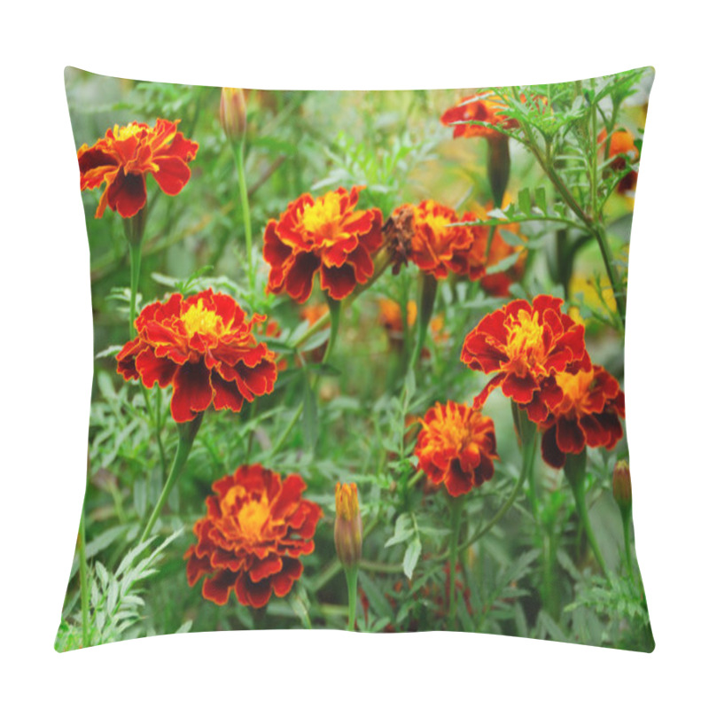 Personality  Beautiful marigolds pillow covers