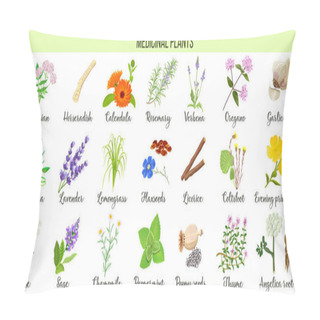 Personality  Big Vector Set Of Medicinal Plants. Valerian, Aloe Vera, Lavender, Peppermint, Angelica Root, Chamomile, Verbena, Anise, Coltsfoot Thyme Etc For Health Care Aromatherapy Homeopathy Pillow Covers