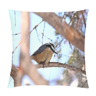 Personality  Red Breasted Nuthatch Perched On Branch Pillow Covers