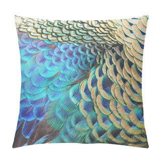 Personality  Green Peacock Feathers Pillow Covers