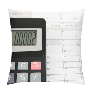 Personality  Annual Settlement With The Tax Office Pillow Covers