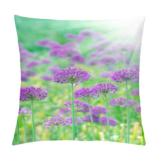 Personality  Close Up Of The Flowers Of Some Allium With Butterfly Pillow Covers