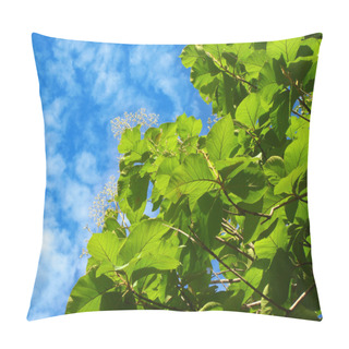 Personality  Beautiful Nature Photo Of Burmese Teak Tree With Bright Green Le Pillow Covers