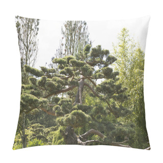 Personality  Japanese Black Pine Pinus Thunbergii Pillow Covers