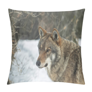 Personality  Portrait Of A Gray Wolf On The Background Of The Forest Pillow Covers