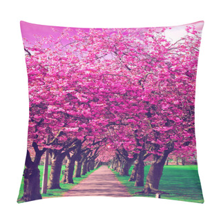 Personality  Walk Path Surrounded With Blossoming Plum Trees Pillow Covers