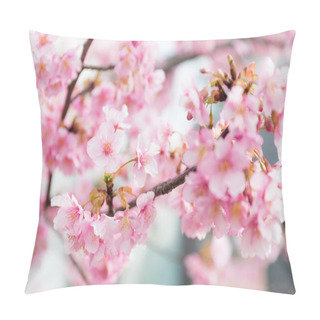 Personality  Blooming Sakura Tree Branches Pillow Covers