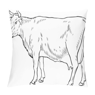 Personality  White Cow Pillow Covers