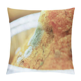 Personality  Selective Focus Of The Moldy Bread Expired Pillow Covers