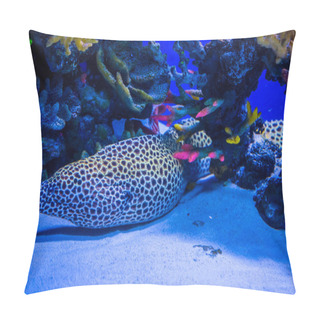 Personality  Tropical Fish With Corals  Pillow Covers