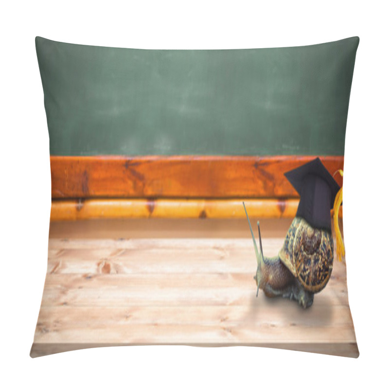 Personality  Snail In Graduation Hat  Pillow Covers