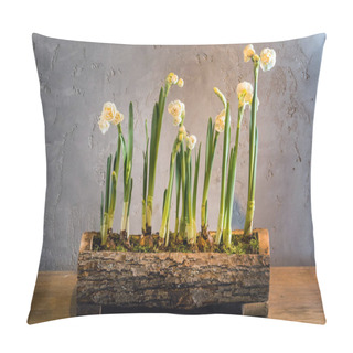 Personality  Tender Spring Flowers Pillow Covers