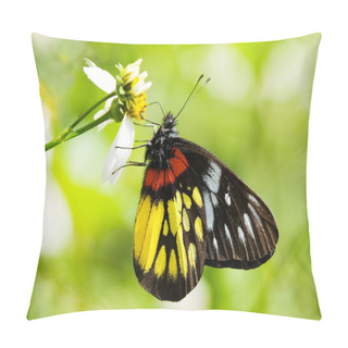 Personality  Corlorful Butterfly In Red And Yellow Pillow Covers