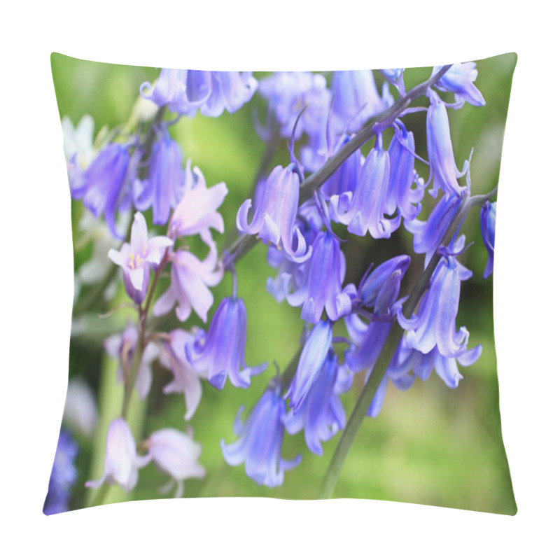 Personality  Bluebells Meadow Pillow Covers