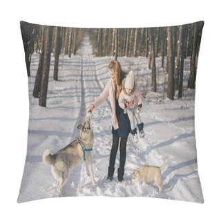 Personality  Husky Pillow Covers