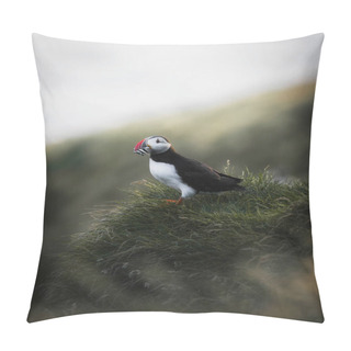 Personality  Closeup Of A Puffin With Fish In Its Beak Pillow Covers