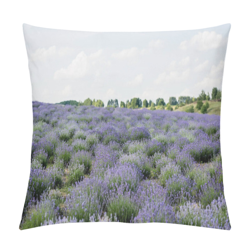 Personality  meadow with flowering lavender under cloudy sky pillow covers