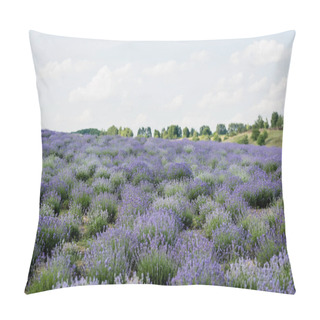 Personality  Meadow With Flowering Lavender Under Cloudy Sky Pillow Covers
