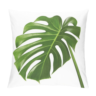 Personality  Monstera Deliciosa Leaf Or Swiss Cheese Plant, Tropical Foliage Isolated On White Background, With Clipping Path Pillow Covers