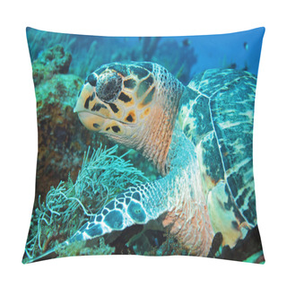 Personality  Hawksbill Turtle Pillow Covers