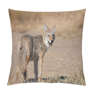 Personality  Wild Coyote Pillow Covers
