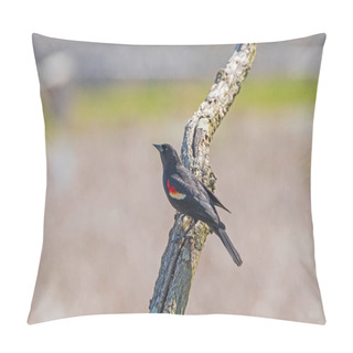 Personality  Red Winged Blackbird Resting On A Snag In Horicon Marsh In Wisconsin Pillow Covers