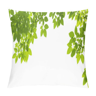 Personality  Green Leaves Border Pillow Covers