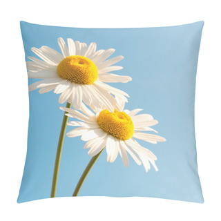 Personality  Daisies Over Blue Sky Pillow Covers