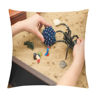 Personality  Child Plays In The Sand Spider And Hedgehog Pillow Covers