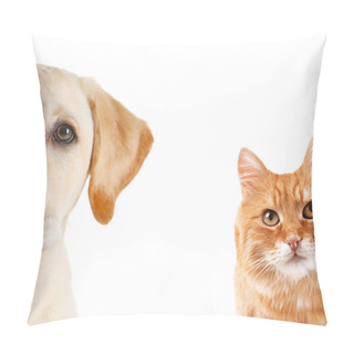 Personality  Cat And Dog Portraits Pillow Covers