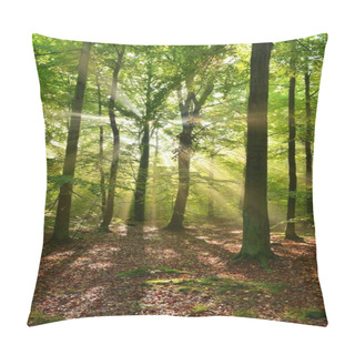 Personality  Autumnal Dawn In The Forest Pillow Covers