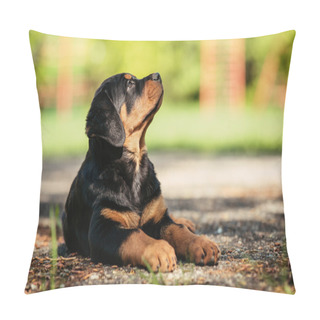 Personality  Rottweiler Puppy On A Playground Pillow Covers