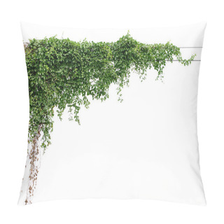 Personality  Plants Ivy. Vines On Poles On White Background Pillow Covers