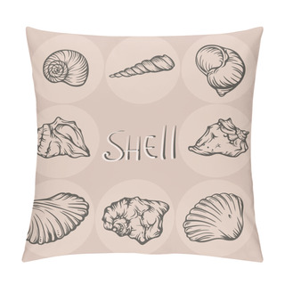 Personality  Set Of Hand Drawn Seashells On Beige Background. Pillow Covers