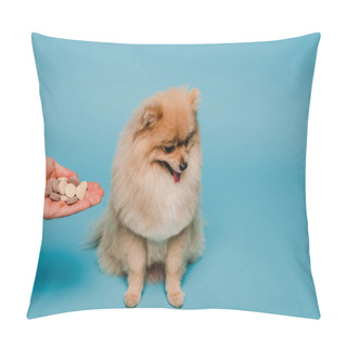 Personality  Cropped View Of Woman Holding Tablets In Hand Near Cute Dog On Blue Pillow Covers
