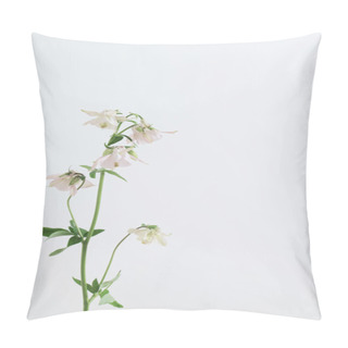 Personality  Columbine Flowers On White Background Pillow Covers