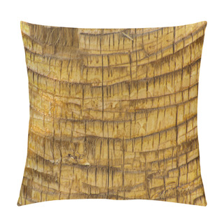 Personality  Background Of The Bark Of A Palm Tree. Close-up Of Fragments Of The Bark Of A Tree In Chaotic Abstract Design. In Category Of Creative Background Of Exotic Summer Relaxation, Screen Saver, Wallpaper. Pillow Covers