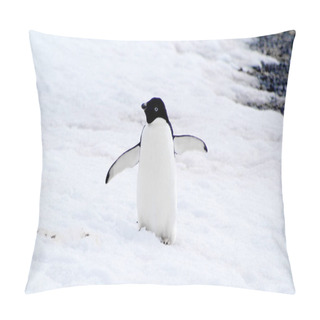 Personality  Wild Penguin On Snow Pillow Covers