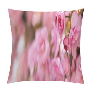 Personality  Close Up View Of Pink Flowers Of Aromatic Cherry Tree In Park, Banner Pillow Covers