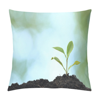 Personality  Tree Plant Grown Pillow Covers