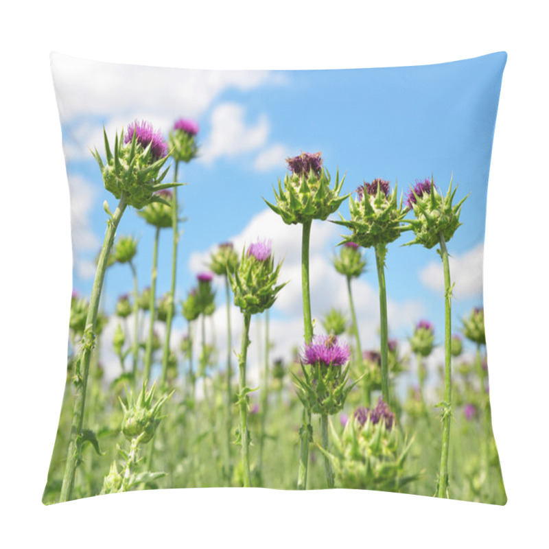 Personality  Field with Silybum marianum pillow covers